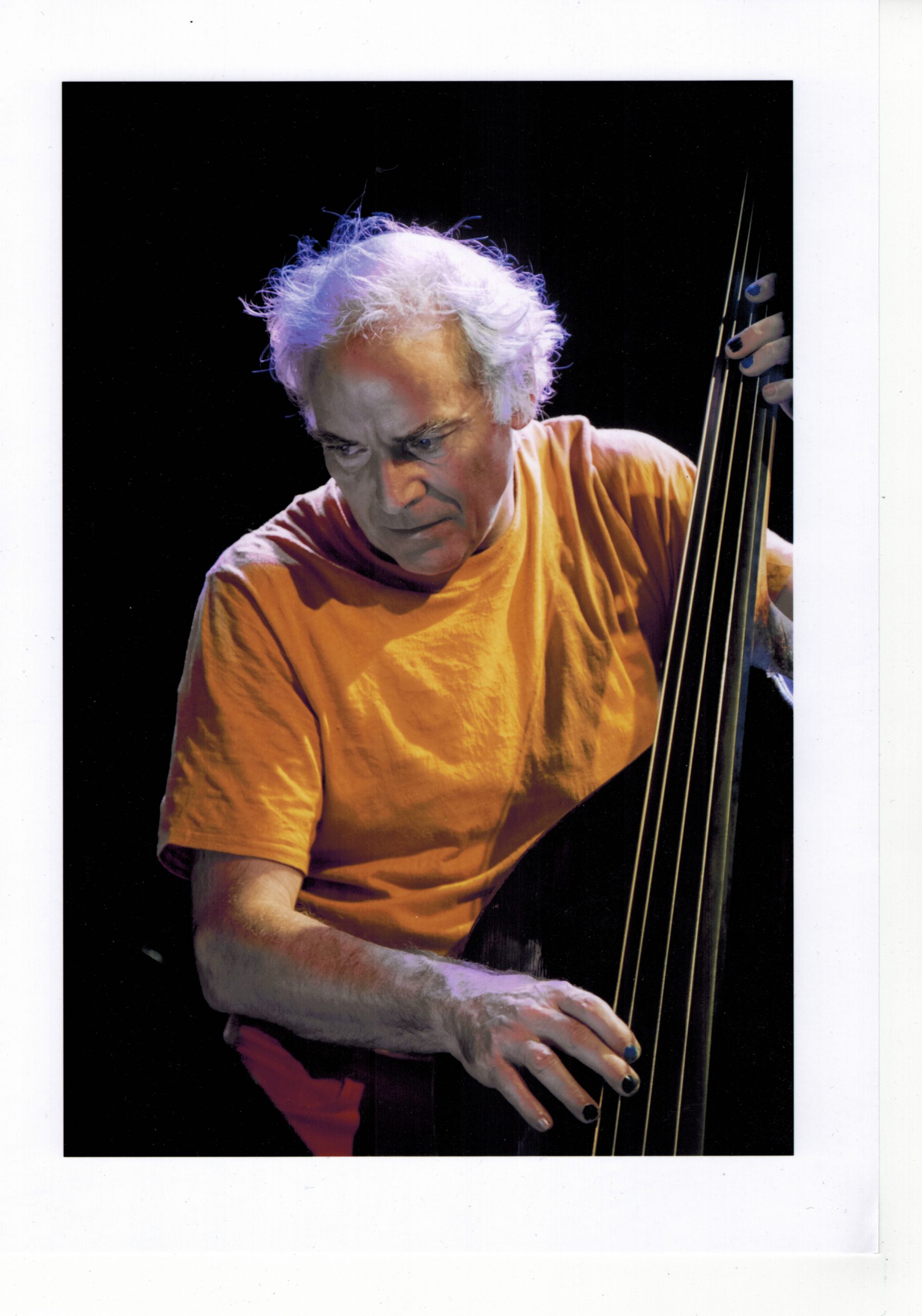 Peter Herbert